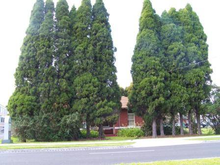 Fairfield Hospital Grounds
