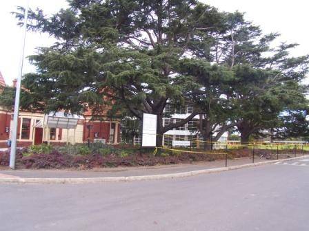 Fairfield Hospital Grounds
