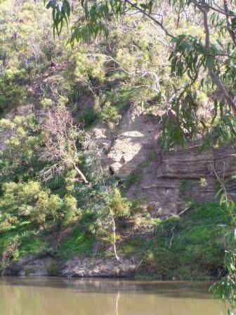 Deep Rock Swimming Club site