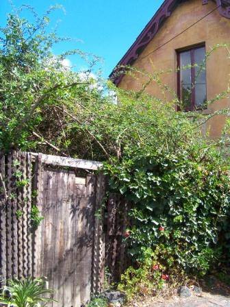 39 Nicholson Street