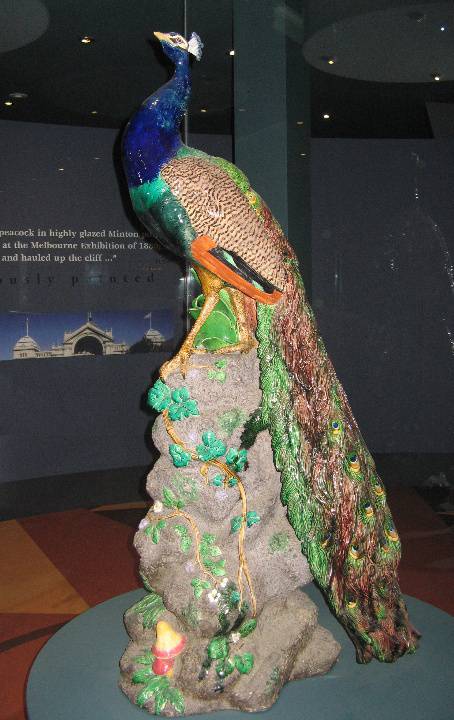Loch Ard Peacock side view