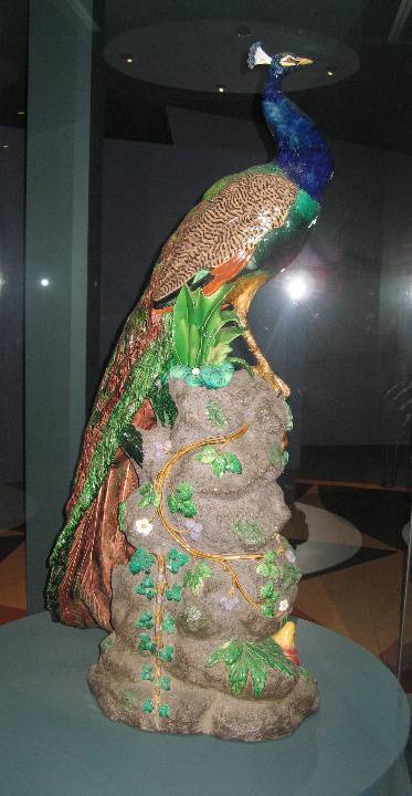 Loch Ard Peacock side view 2
