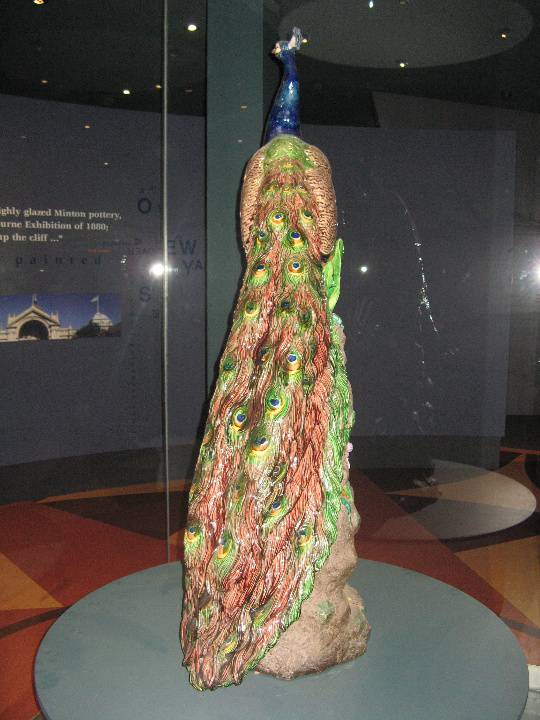 Loch Ard Peacock rear view