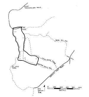 lisles & mantons gullies quartz gold mine maldon plan