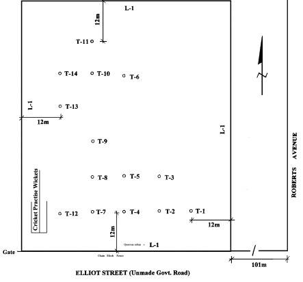 cunnacks valonia oak plantation plan