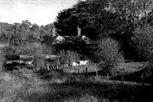 HO166 Trenowin.jpg