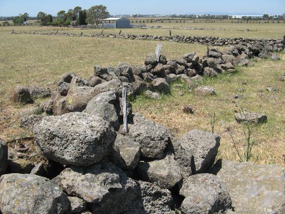 Clonad_Epping_sheepyard remnants_KJ_Nov 09