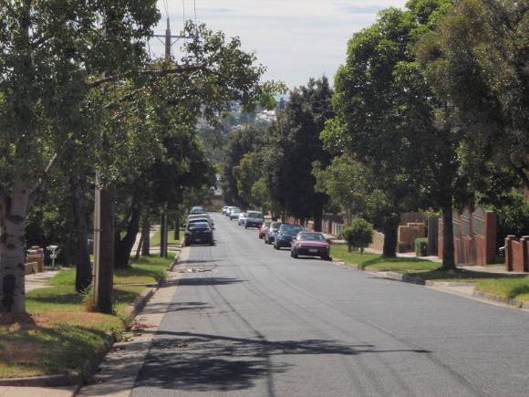 HO105(1) - Kurrajong Street Trees, Bloomfield Avenue, Maribyrnong.JPG