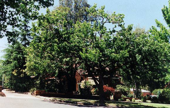 The Beauview Estate
