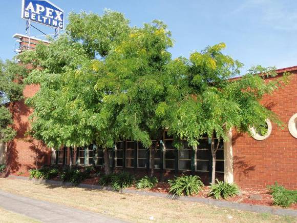 HO129 (1) - Hopkins Odlum, 268 Geelong Road, West Footscray.JPG