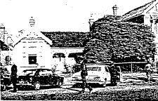 1307 sturt Street - Film 7 / Frame 32 - Ballarat Conservation Study, 1978