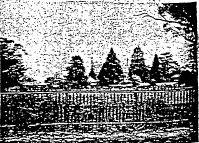Biships Palace - - Film 3 / Frame 11,16,17 - Ballarat Conservation Study, 1978