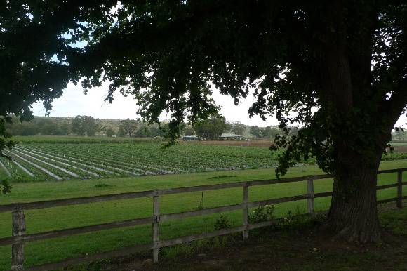 4957_Bacchus Marsh Avenue of Honour_25 December 2009_HV_020.JPG