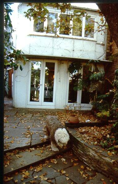 138 powlett street east melbourne h89 rear may2000