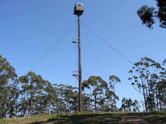 4932_Stringers_Knob_Fire_Spotting_Tower_DSE_Nov_2008