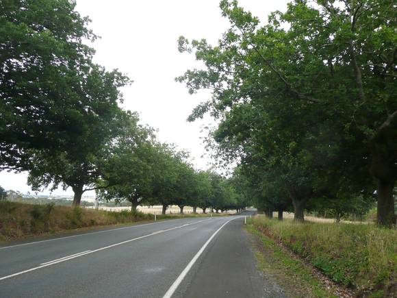 AVENUE OF HONOUR SOHE 2008