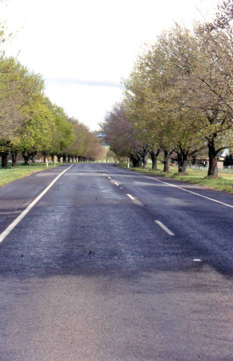 H2066 1 woodend avenue of honour 2004 mz