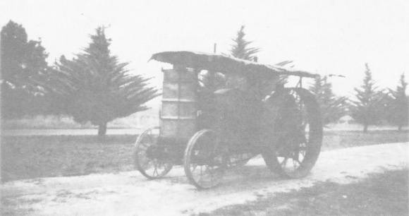 Avenue of Honour showing young cypresses, c.1959.  Source: Anderson & Iapozzuto, Modewarre Memorial Hall & Avenue of Honour: A Local History.