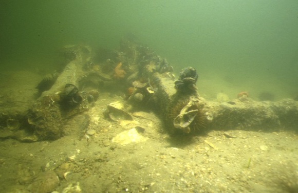 S129_Clonmel_PortAlbertBar_Cannon