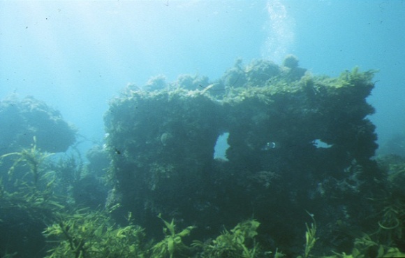 S142_Coogee_ShipsGraveyardBarwonHeads_Stern_12/07/1999_WC