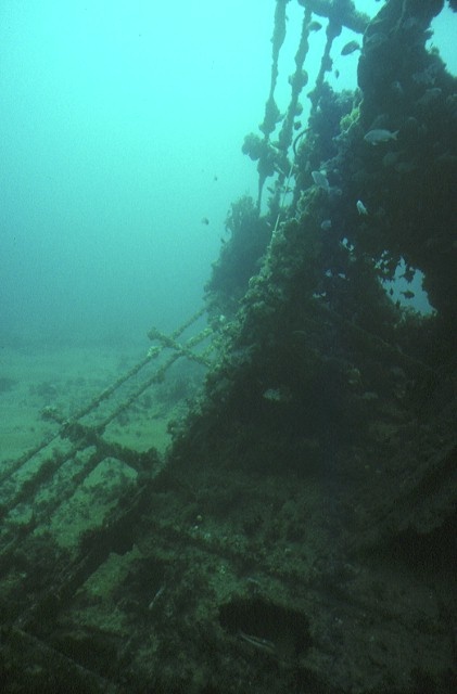 S142_Coogee_ShipsGraveyardBarwonHeads_Stern_12/07/1999_WC