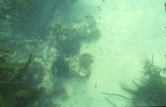 S218_ElizaDavis_BassStrait_HistoricView