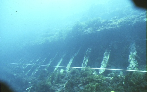 S259_Fiji_MoonlightHead_Chain_MJ