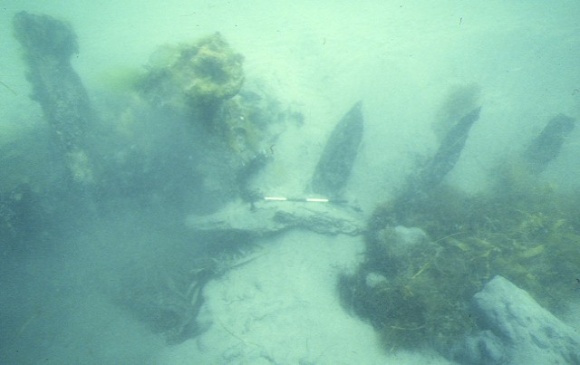 S286_GeorgeRoper_PortPhillipHeadsLonsdaleReef_HistoricPhotograph