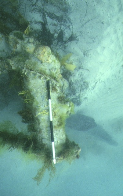 S286_GeorgeRoper_PortPhillipHeadsLonsdaleReef_SideView