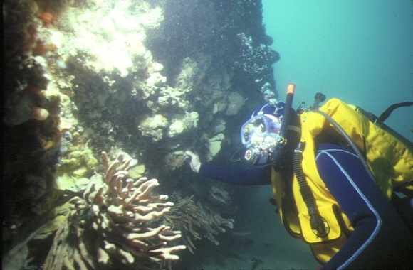 S294_Goorangai_PortPhillipBaySouthChannel_SideView