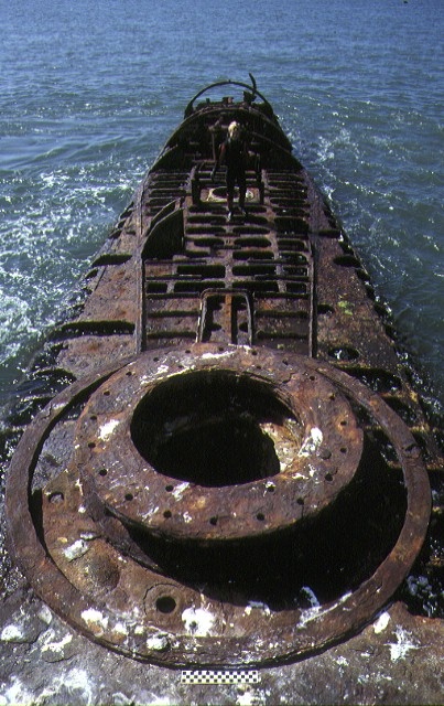 S384_J7Submarine_PortPhillipBayHampton_Structure