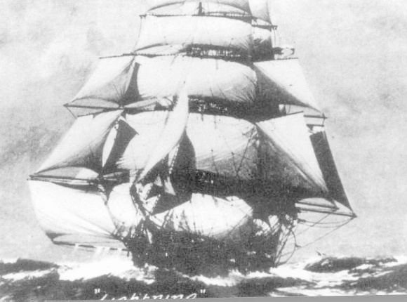 S421_Lune_WilsonsPromontory_CliffyIsland_SideViewWithDiver