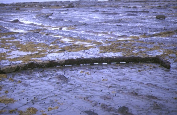 S45_Artisan_CapePatterson_BeachView_unknown