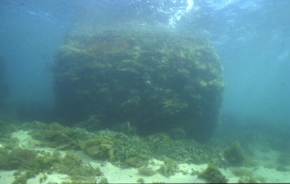 S725_WilliamSalthouse_PortPhillipBay_Hull
