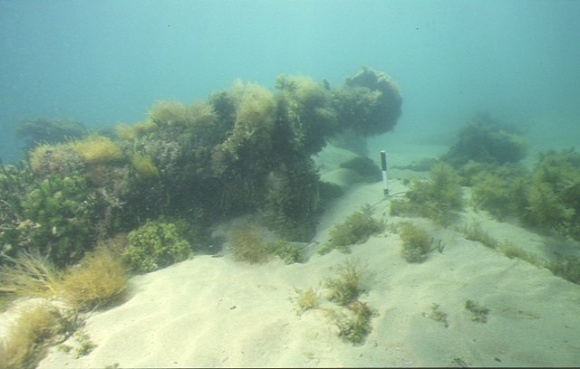 S725_WilliamSalthouse_PortPhillipBay_BarrelsDuringSurveyWork