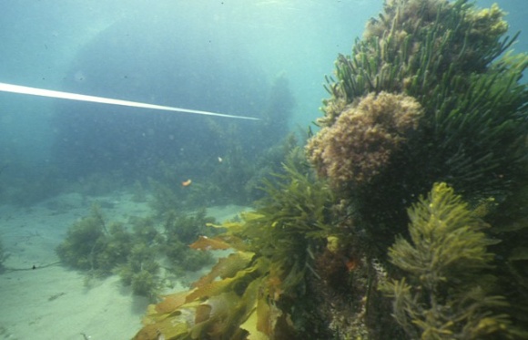 S725_WilliamSalthouse_PortPhillipBay_BrrelLid