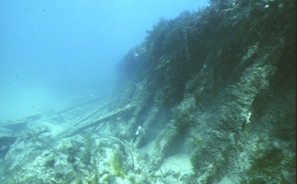 S117_Cerberus_HalfMoonBayBlackRock_FrontView_unknown