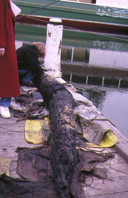 S124_CityOfLaunceston_PortPhillipBay_HistoricView